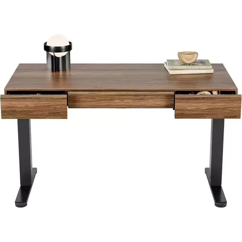 48 Inch Electric Standing Desk with Drawers, Height Adjustable Stand Up Desk with Storage, Black Walnut Computer Workstation for Home Office